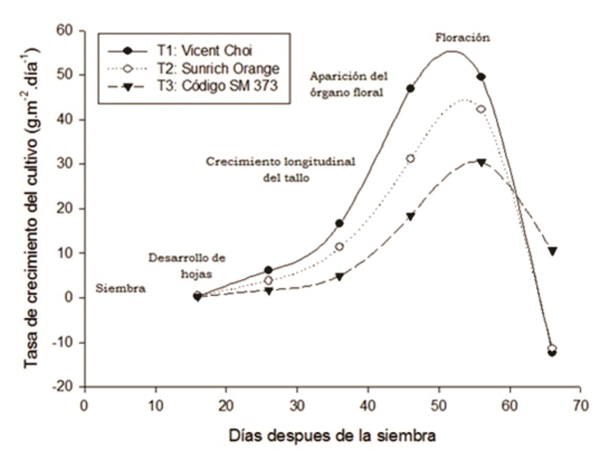 Tasa de crecimiento de tres cultivares híbridos de girasol en función del tiempo.