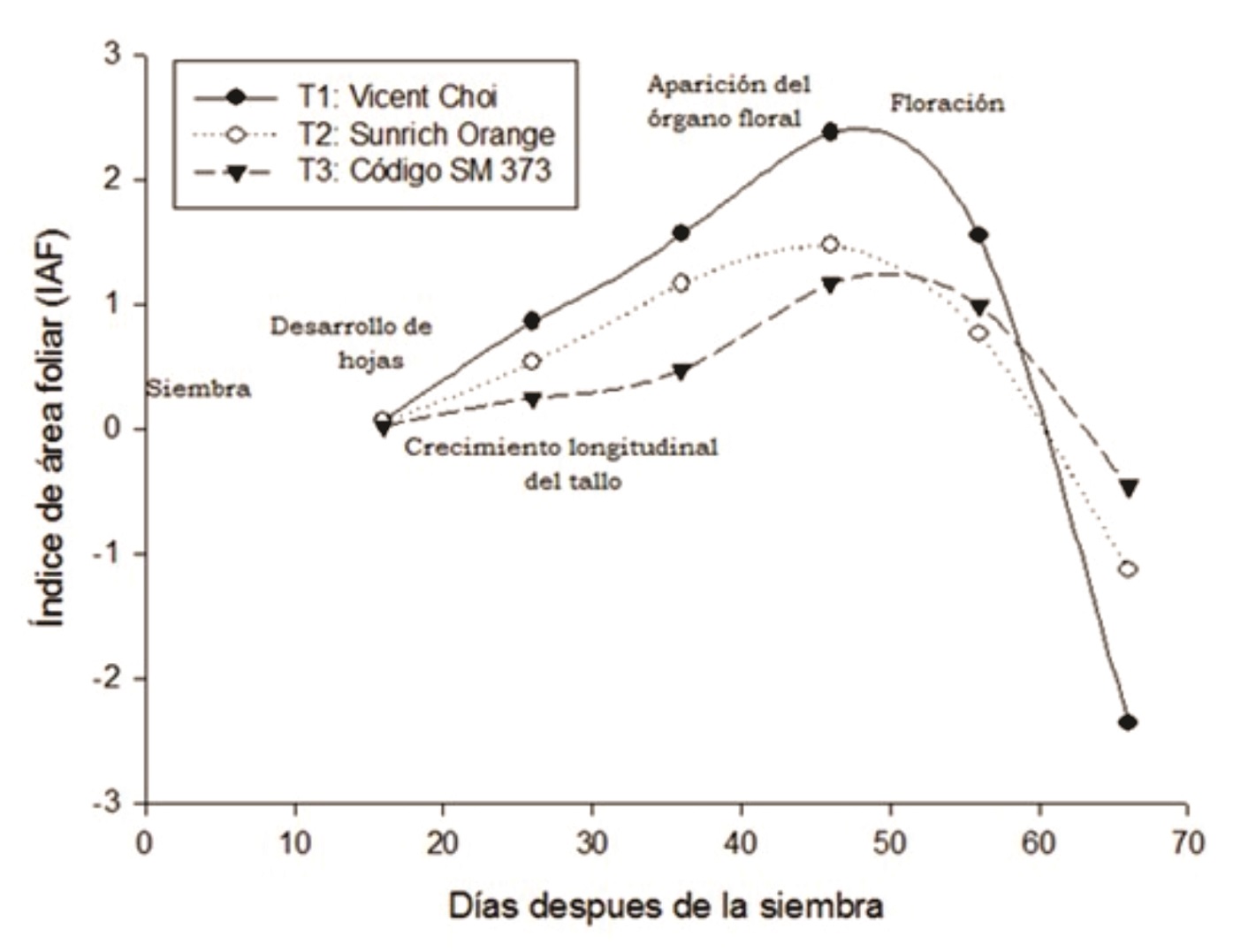 Índice de área foliar de tres cultivares híbridos de girasol en función del tiempo.