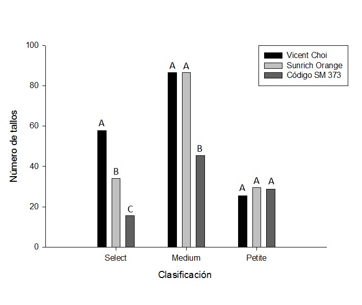 Producción de tallos según categorías de clasificación de tres cultivares híbridos de girasol.