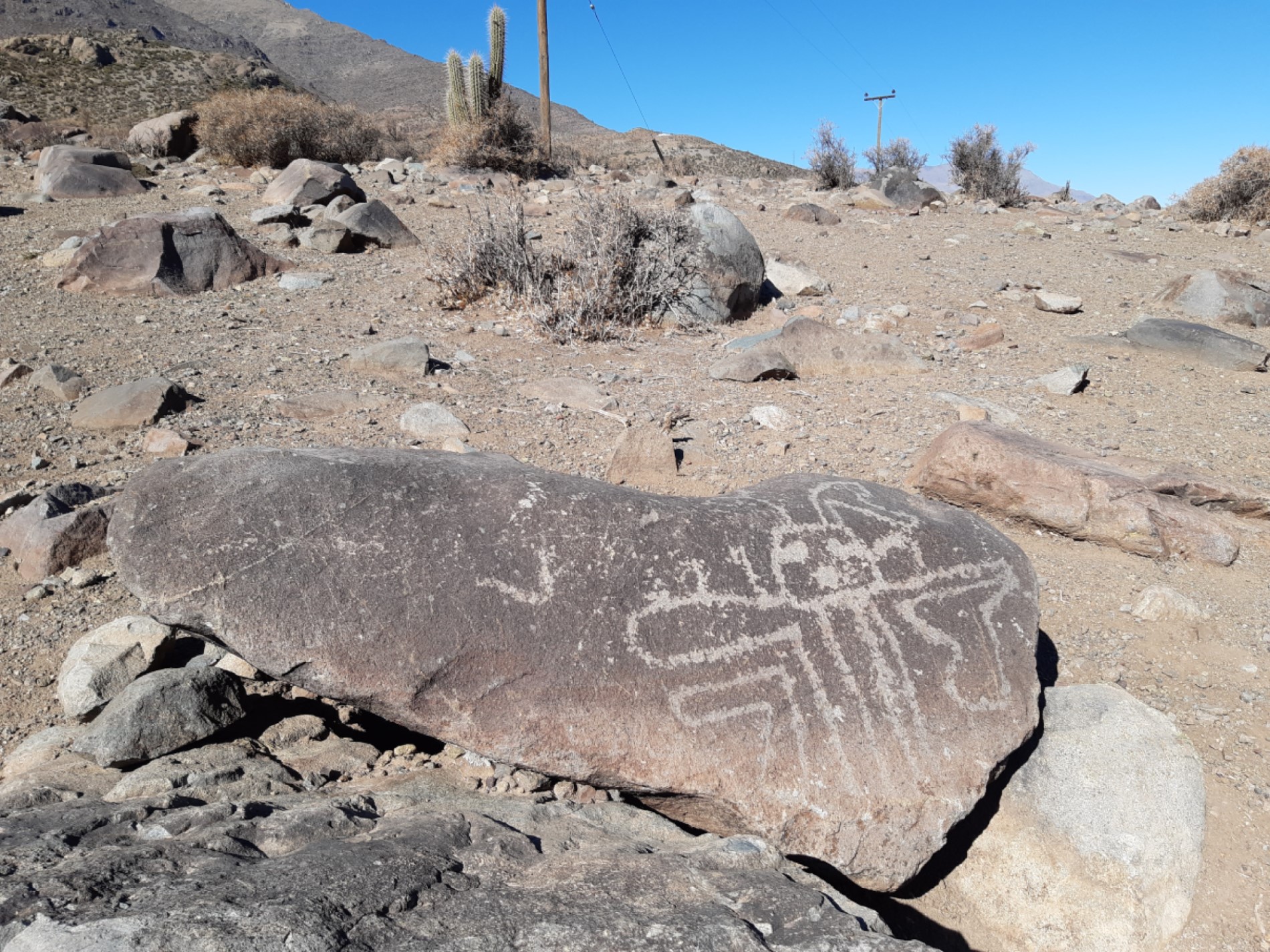 Petroglifos sector El Pedernal comuna de Petorca