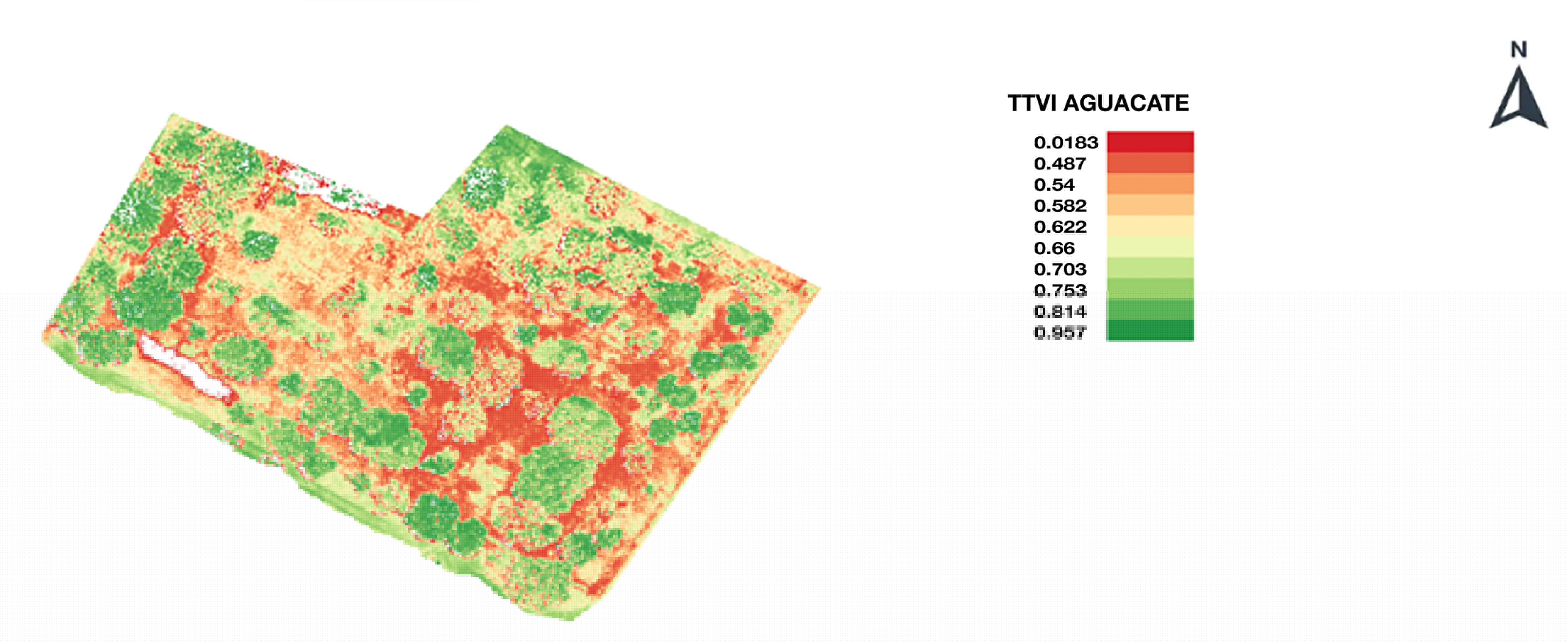 TVI generado para la parcela de Aguacate. Escala 1:500.