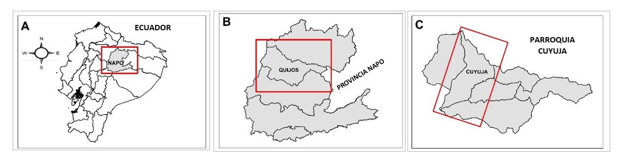 Localización del área de estudio. A. Napo en el Ecuador, B. Quijos en la provincia de Napo, C. Cuyuja en el cantón Quijos.