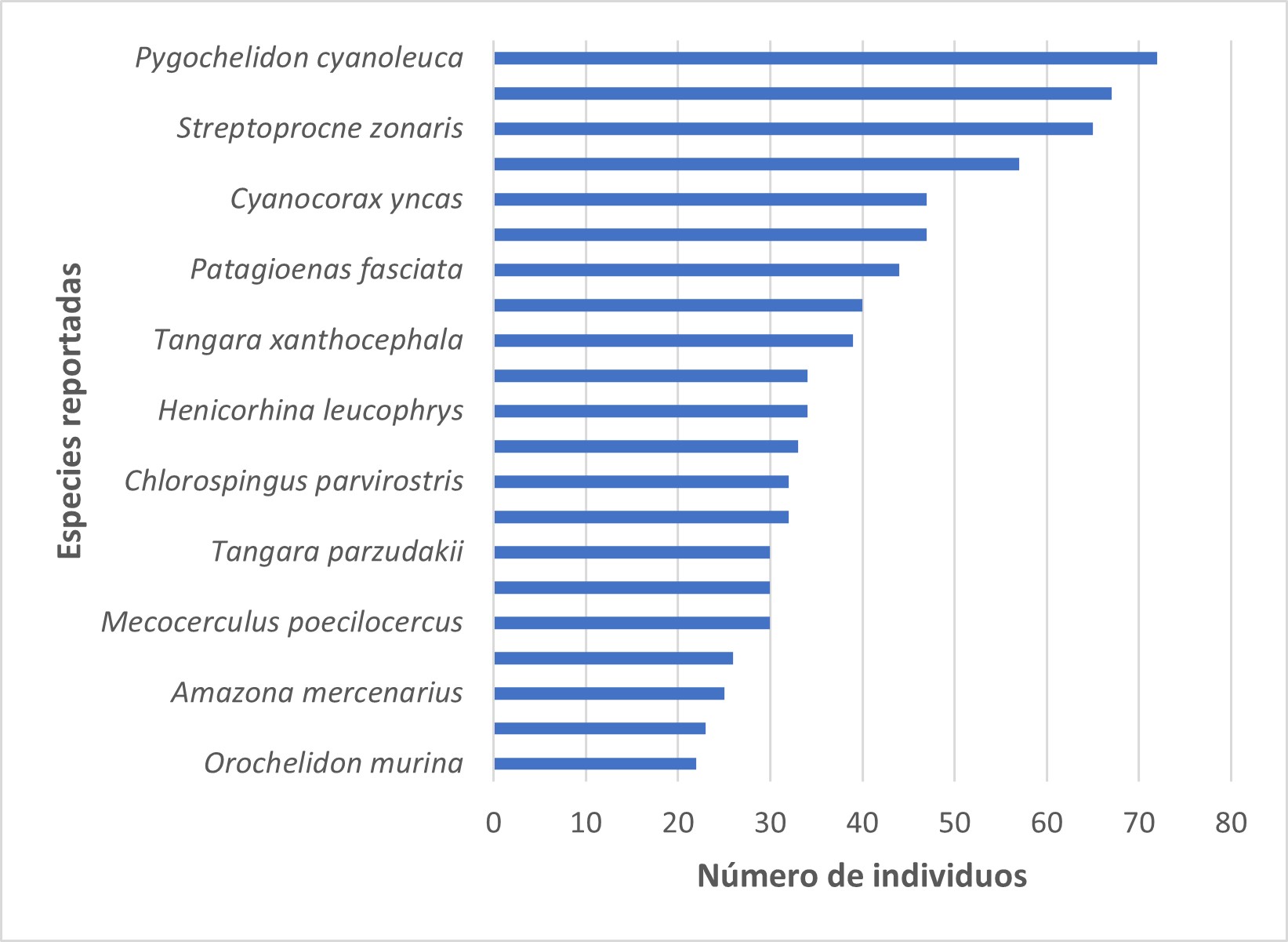 Especies con más registros en Quijos Huayco, parroquia Cuyuja, cantón Quijos, provincia de Napo, período 2019-2020.