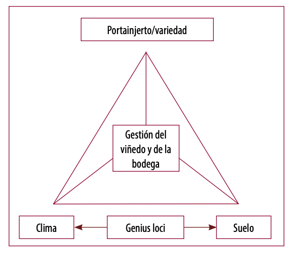 Factores que intervienen en el terroir.