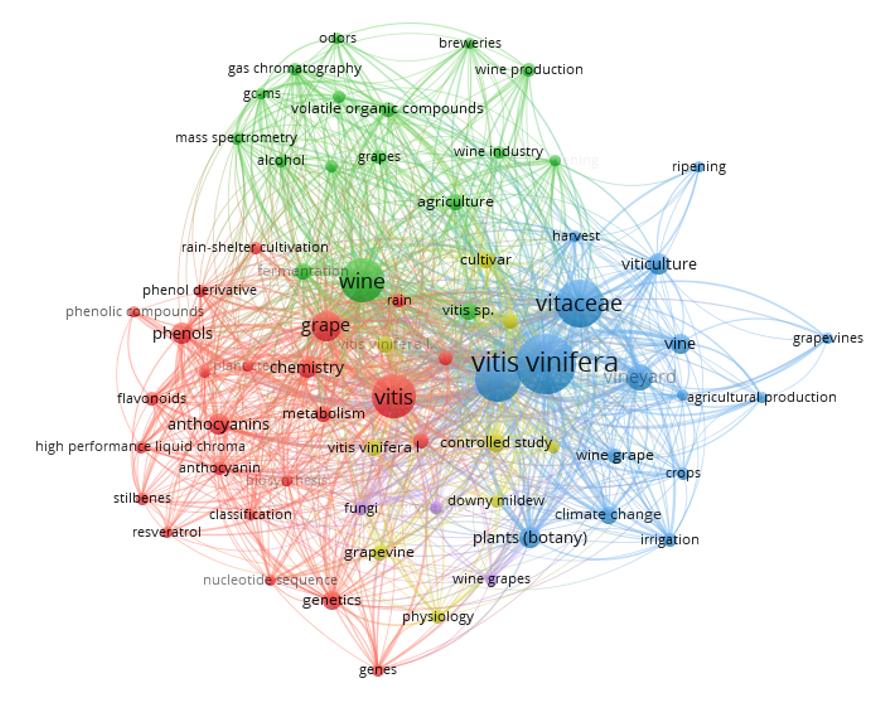 Análisis de la primera búsqueda.