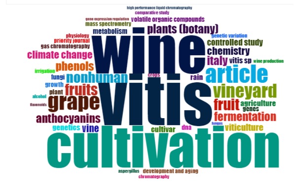 Análisis de frecuencia de las palabras clave en los documentos.