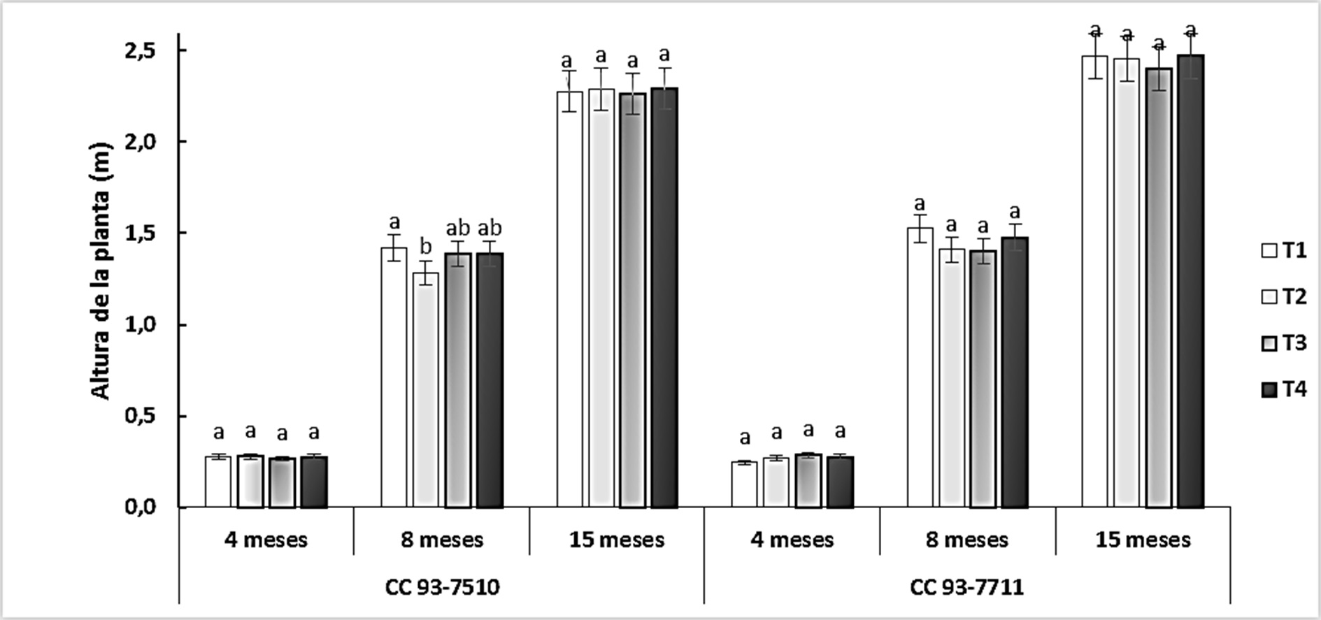Altura de plantas de caña a los 8 y 15 mdt. T1: A. mellea, T2: R. irregulare, T3: Control sin inoculación, T4: Control 100 % de fertilización química. Medias con letras distintas indican diferencias estadísticas significativas (Tukey, p ≤ 0,05) entre tratamientos (cinco muestras por tratamiento en tres repeticiones).
