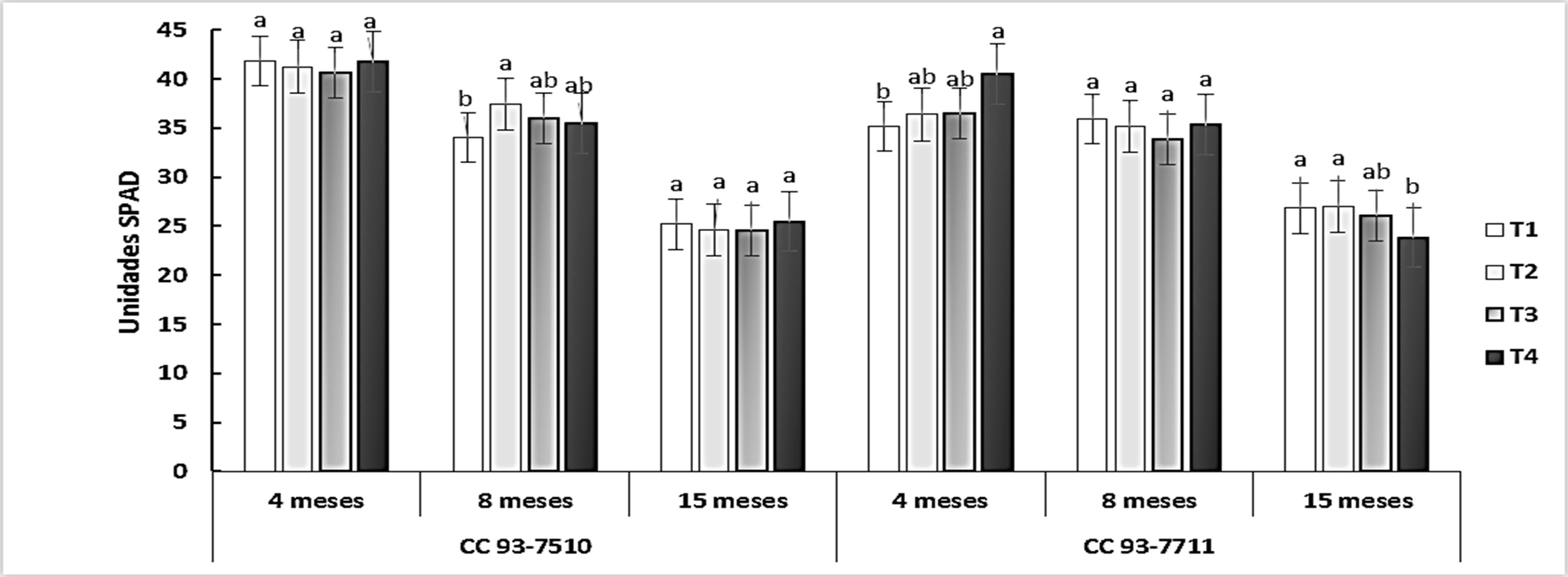 Clorofila total en plantas de caña de azúcar a los 8 y 15 mdt. T1: A. mellea, T2: R. irregulare, T3: Control sin inoculación, T4: Control 100 % fertilización química. Medias con letras distintas indican diferencias estadísticas significativas (Tukey, p ≤ 0,05) entre tratamientos (cinco muestras por tratamiento en tres repeticiones).