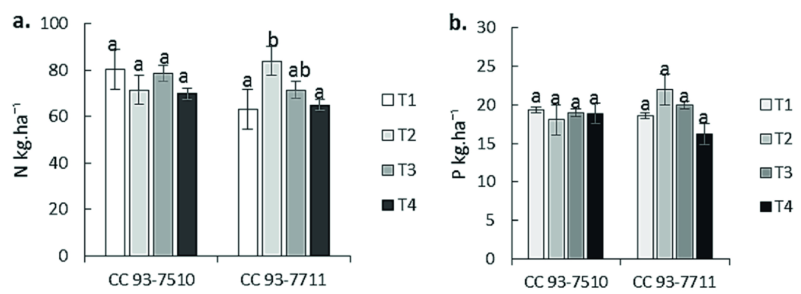 Absorción de macronutrientes: a) Nitrógeno y b) Fósforo a los 15 mdt. T1: A. mellea, T2: R. irregulare, T3: Control sin inoculación, T4: Control 100 % fertilización química. Medias con letras distintas indican diferencias estadísticas significativas (Tukey, p ≤ 0,05) entre tratamientos (cinco muestras por tratamiento en tres repeticiones).