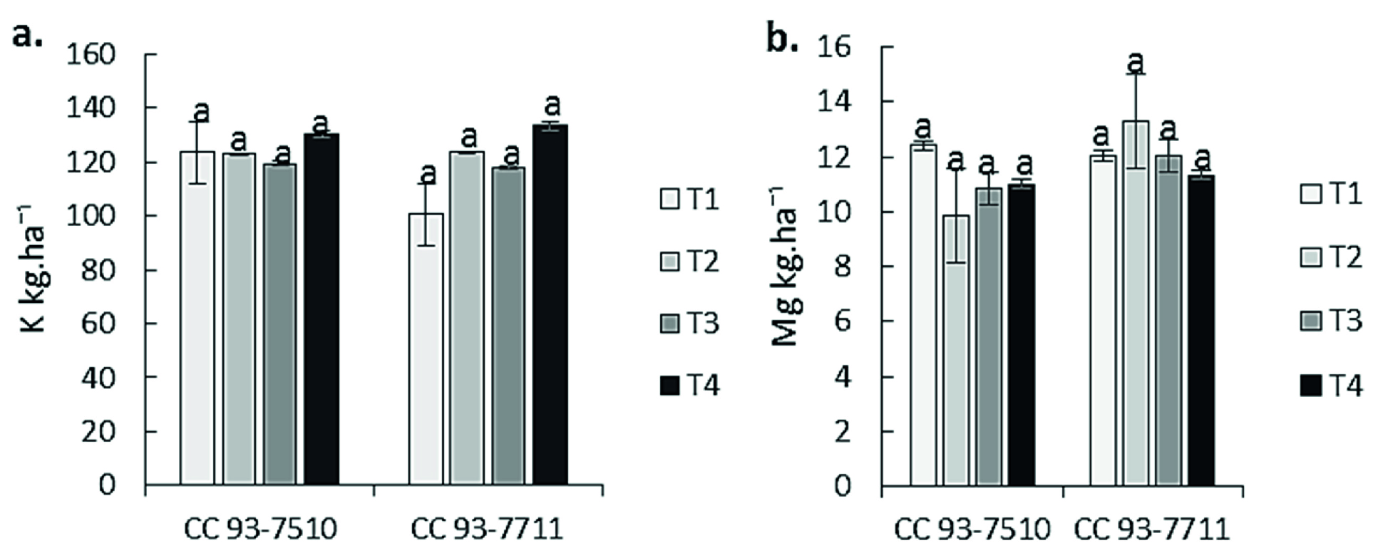 Absorción de a) K y b) Mg a los 15 mdt. T1: A. mellea, T2: R. irregulare, T3: Control sin inoculación, T4: Control 100 % fertilización química. Medias con letras distintas indican diferencias estadísticas significativas (Tukey, p ≤ 0,05) entre tratamientos (cinco muestras por tratamiento en tres repeticiones).