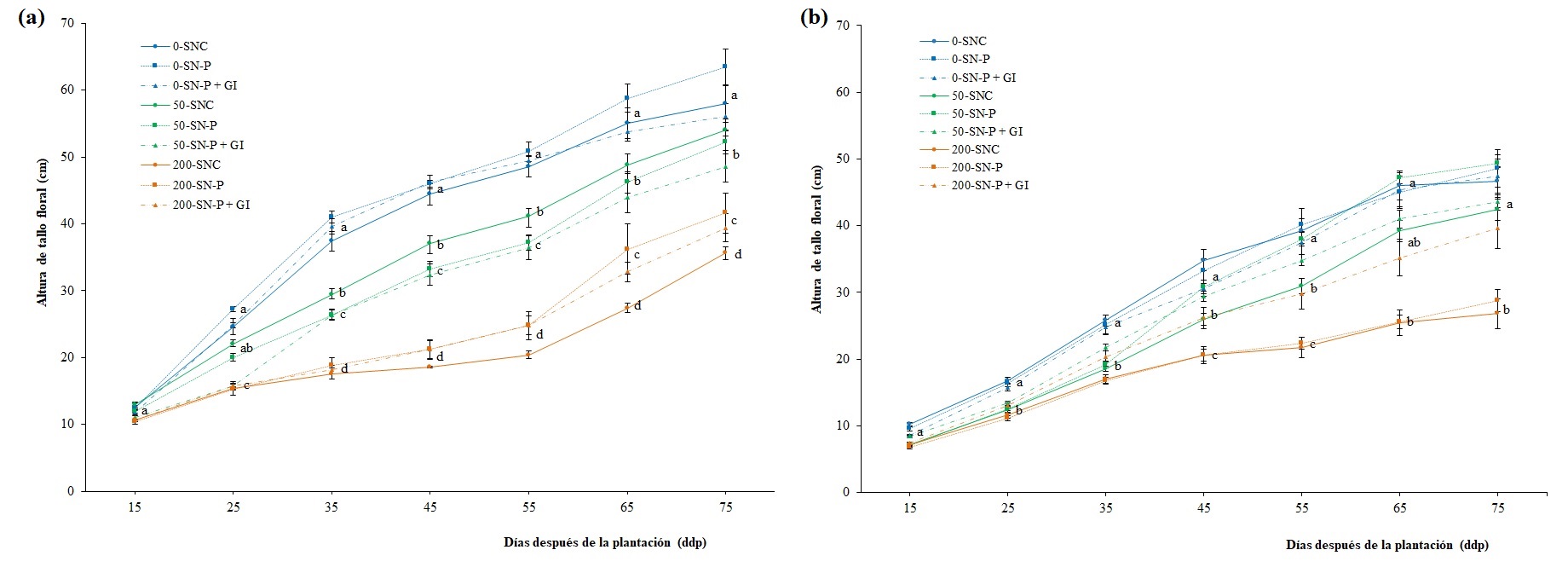 Altura de Lilium ‘Armandale’ (a) y ‘Tresor’ (b) cultivados con tres concentraciones de PBZ y tres tipos de riego SNC, solución nutritiva completa; SN-P, sin fósforo; SN-P+GI, sin fósforo más 1 g de inóculo con G. intraradices. Letras diferentes en cada tiempo de evaluación indican diferencias significativas. (Tukey, p ≤ 0,05; n = 15).