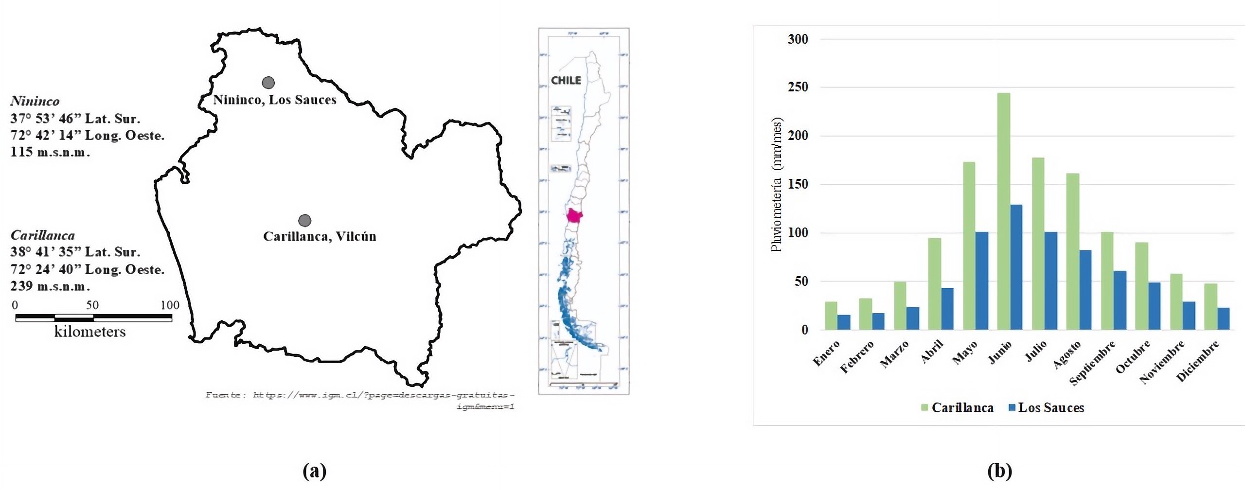 (a) Ubicación de los módulos de seguimiento de Atriplex nummularia Lindl. y (b) pluviometría (Carillanca, promedio 1990-2021; Los Sauces, promedio 1960-2019).