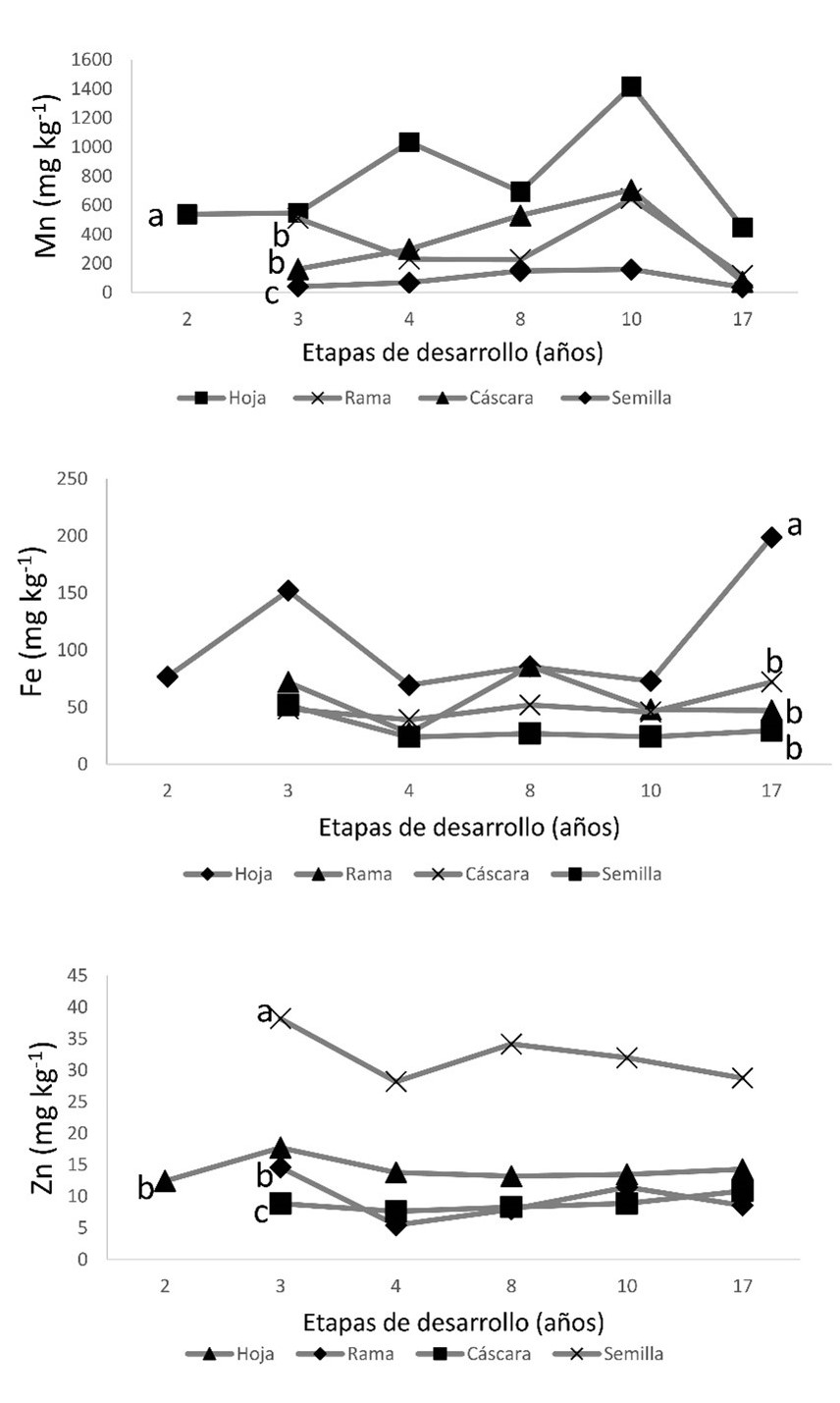 Contenido de Mn, Fe y Zn (mg kg-1) en hojas, rama, cáscara y semilla de la planta de rambután en diferentes etapas (años) de desarrollo. Atlántida, Honduras, 2017. Promedios con igual letra no difieren significativamente según Tukey (p ˂ 0,05)