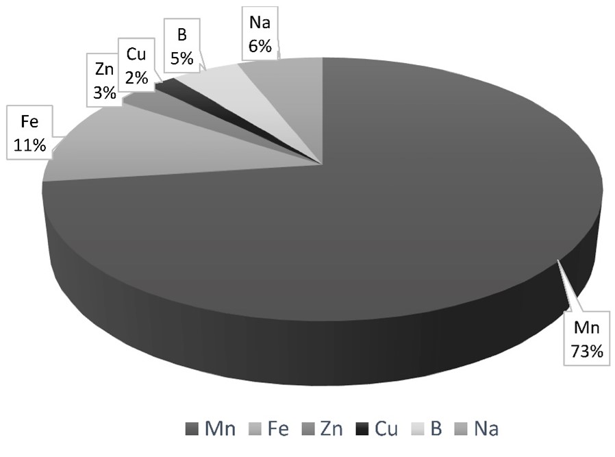Concentración de los nutrientes esenciales y benéficos en la planta (hojas + cáscara + rama + semilla) de rambután en las diferentes etapas de desarrollo (año 3 + 4 + 8 + 10 + 17). Atlántida, Honduras, 2017.