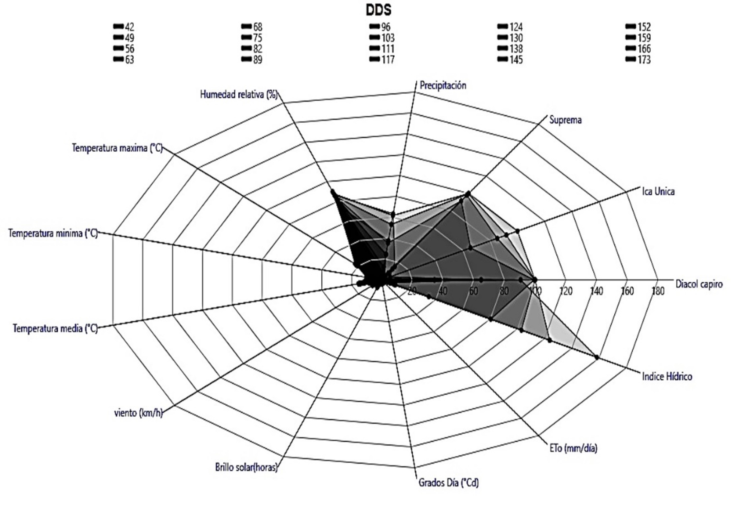 Gráfico radial de la relación de la severidad del tizón tardío (P. infestans) y las variables climáticas en tres variedades de papa durante los meses de diciembre 2015 a mayo 2016 en un ciclo de cultivo (173 días después de siembra - dds).