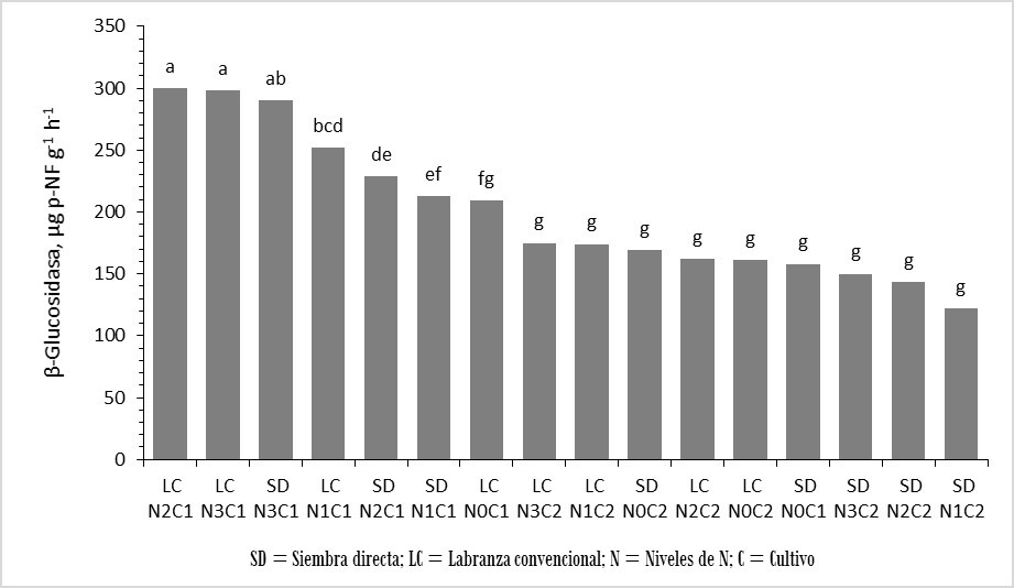 Variación en la actividad de la enzima β-glucosidasa por efecto de la labranza, fertilización nitrogenada en los cultivos de fréjol y maíz sobre indicadores biológicos de la calidad de un suelo andino del Ecuador.