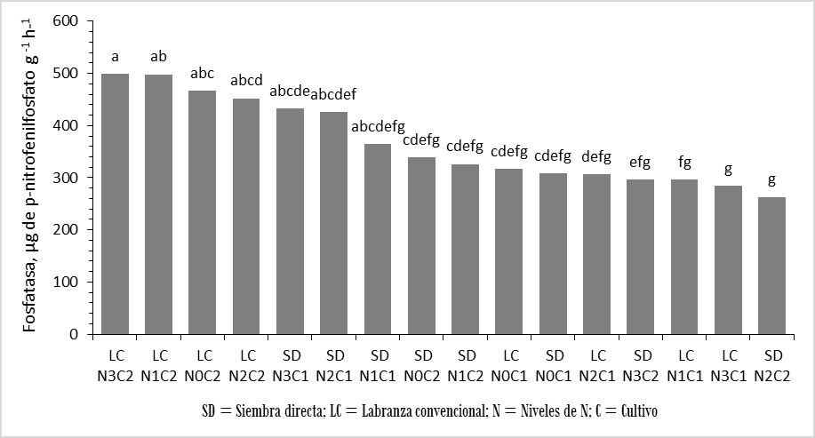 Variación en la actividad de la enzima fosfatasa,    por efecto de la labranza, fertilización nitrogenada en los cultivos de fréjol y maíz sobre indicadores biológicos de la calidad de un suelo andino del Ecuador.