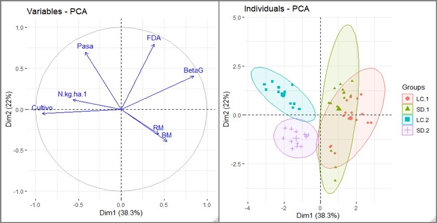Análisis de componentes principales para estimar el agrupamiento de los indicadores de calidad del suelo por sistema de labranza y cultivo, en el efecto de la labranza, fertilización nitrogenada en los cultivos de fréjol y maíz sobre indicadores biológicos de la calidad de un suelo andino del Ecuador.