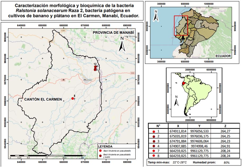 Mapa epidemiológico generado como resultado de la investigación.