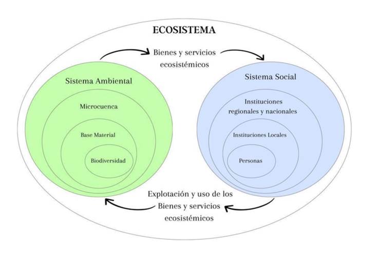 Esquema conceptual del ecosistema