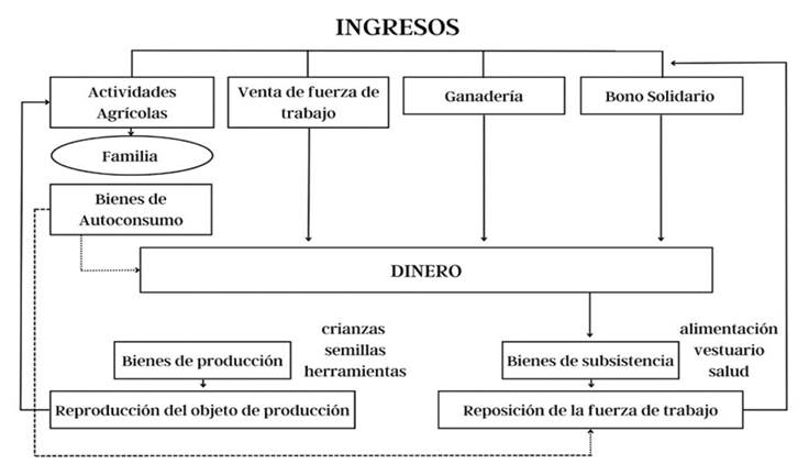 Economía de sobrevivencia