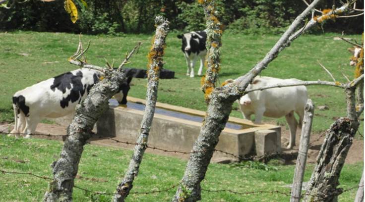 Estanque para solucionar la escasez de agua en las acequias