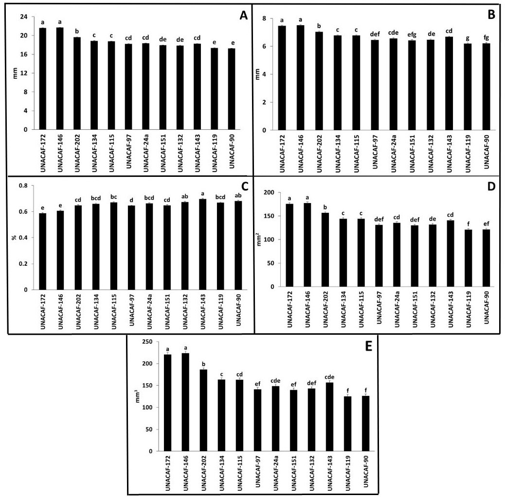 Índices físicos evaluados en este experimento. A) diámetro aritmético (mm), B) diámetro geométrico (mm), C) grado de esfericidad (%), D) área superficial (mm2) y E) volumen (mm3).