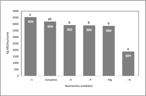 Respuesta en producción de materia seca de raigrás perenne
a la omisión de nutrientes.