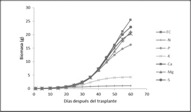 Curva de
producción de biomasa en plantas de quinua con fertilización completa (FC) y
con deficiencia de macronutrientes, Pichincha 2017.