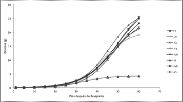 Curva de
producci&oacute;n de biomasa en plantas de quinua en fertilizaci&oacute;n completa (FC) y con
deficiencia de micronutrientes, Pichincha 2017.