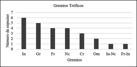 Histograma de gremios
alimenticios. Gr: Granívoro, In: Insectívoro, Fr: Frugívoros. Nc: Nectarívoro,
Om: Omnívoro, In-Nc: Insectívoro-Nectarívoro, Fr-In: Frugívoro-Insectívoro.