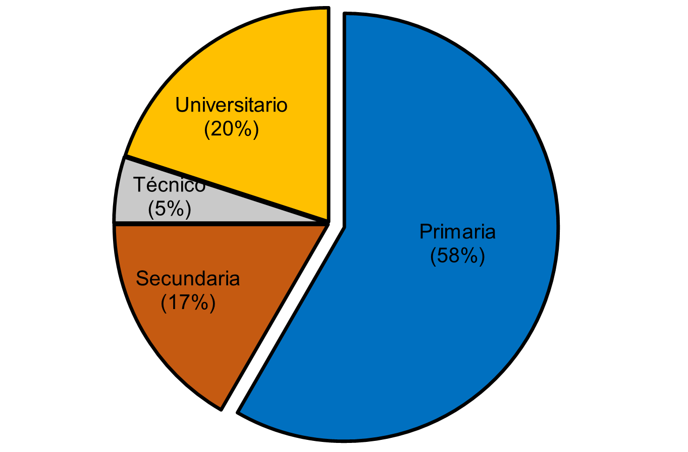 Nivel educativo de los productores de repollo en cuatro cooperativas rurales en Jinotega, Nicaragua