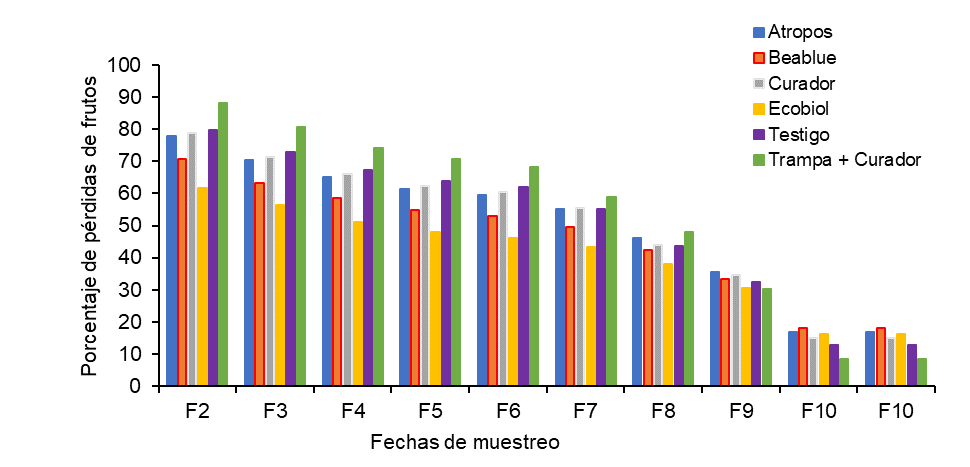 Porcentaje de pérdidas de fruto por afectación de broca en las diferentes fechas de muestreos en los tratamientos bajo estudio