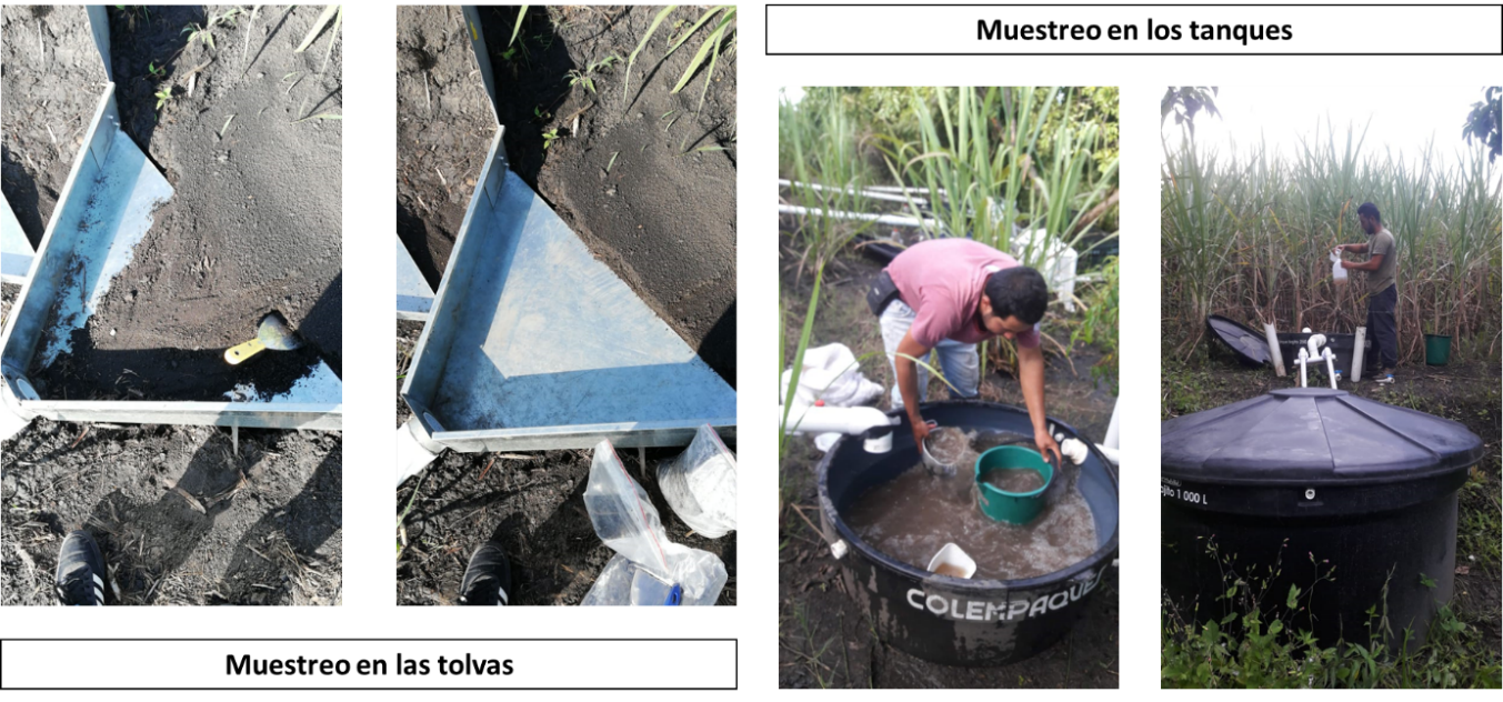 Toma de muestras en las tolvas y los tanques de las parcelas de escorrentía en el departamento de Santander (municipio de Vélez).