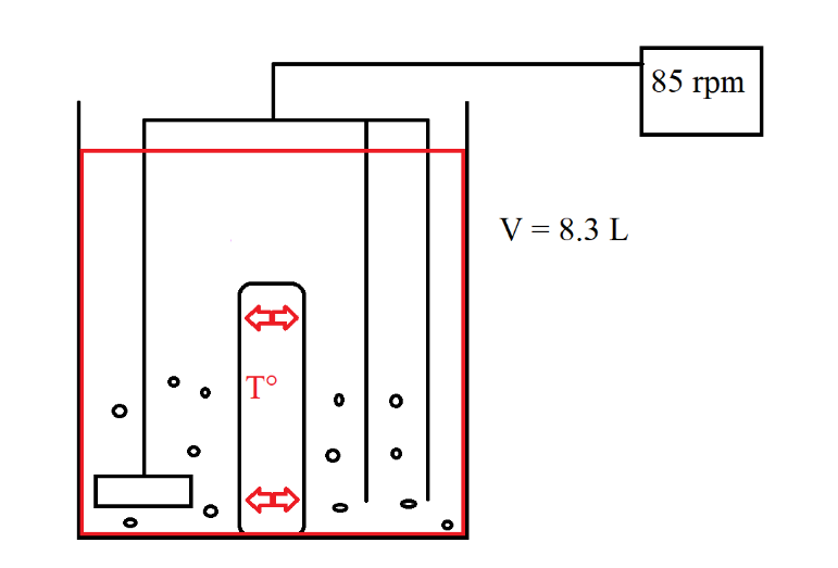 Esquema del funcionamiento del ambiente controlado para escala del proceso