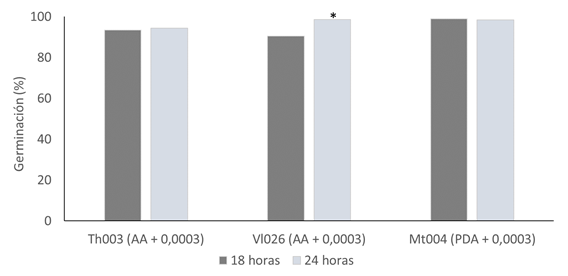 Comparación de tiempos de lectura (18 y 24 h) para el medio de cultivo seleccionado para las cepas élite T. koningiopsis Th003, L. lecanii Vl026 y M. robertsii Mt004. * indica que hay diferencias significativas, según prueba de Kruskal Wallis (α = 0,05).