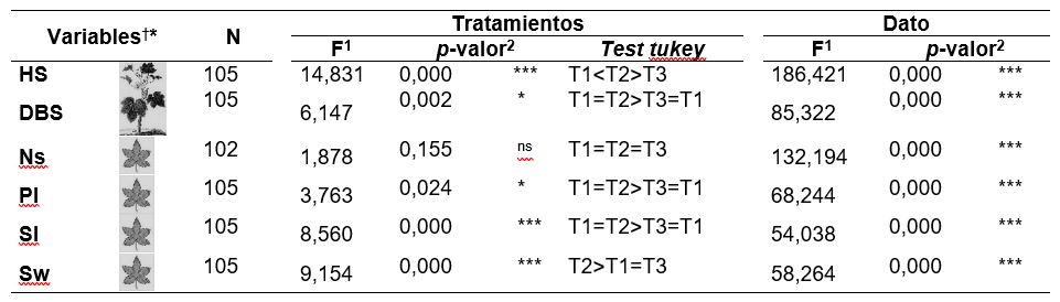 Características morfológicas de las plántulas (media ± error estándar) en los primeros meses de establecimiento del cultivo. Se presentan resultados del Análisis MLG Univariante junto con significancia estadística y el Tukey test aplicada para los tratamientos.