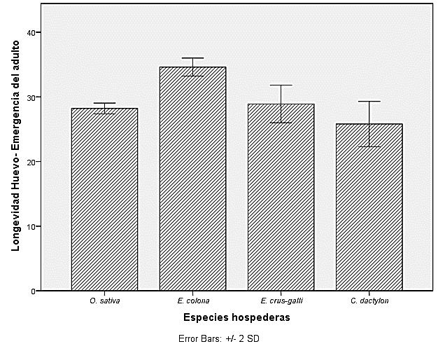 Longevidad de la fase de huevo-emergencia del adulto de O. insularis en función de cuatro especies hospedantes.*