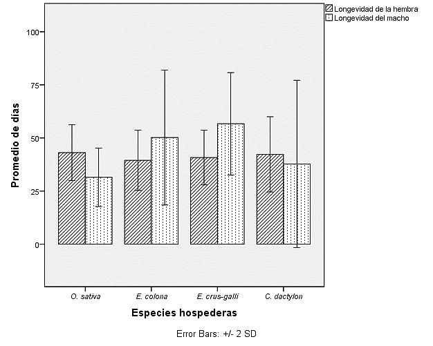Longevidad de los adultos de O. insularis en función de cuatro especies hospedantes.*