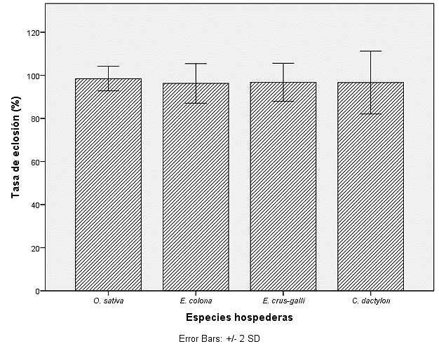 Tasa de eclosión (%) de O. insularis en función de cuatro especies hospedantes.*