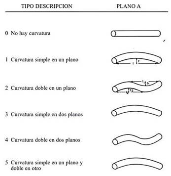 Tipos de curvatura para tallos.