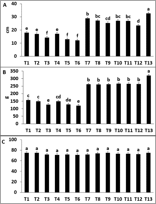 Effect of two regulators on pineapple crown growth cv MD2 crown length A crown weight B and number of leaves per crown C in the province of Chanchamayo Peru*