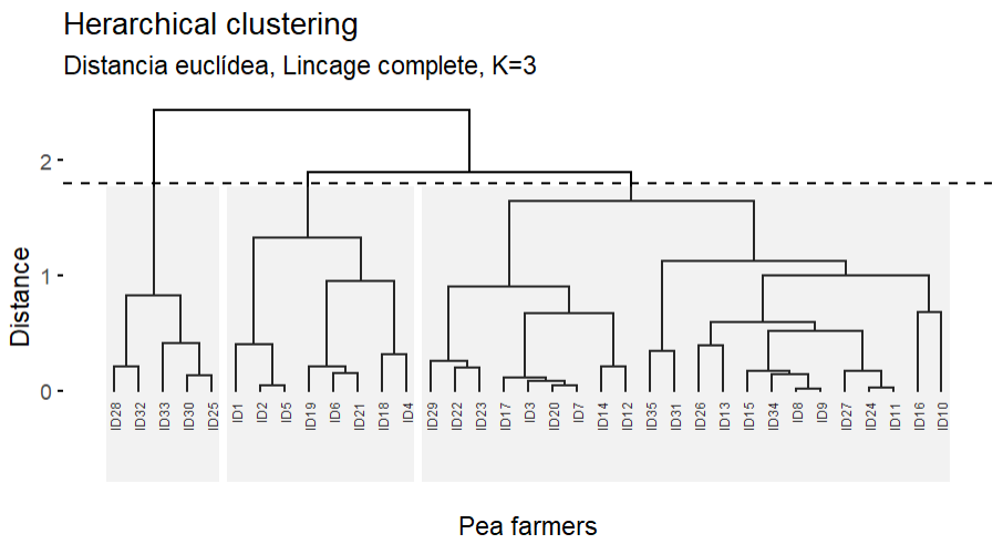 Dendrogram of pea producers surveyed between the period 2019-2022.