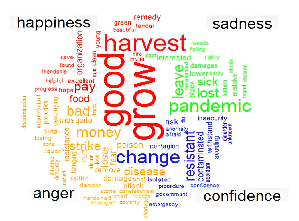 Perceived feelings of pea farmers, ex post COVID-19 pandemic.