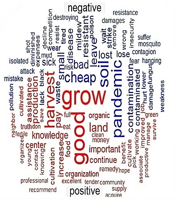 Positive and negative feelings perceived by pea growers, ex-ante COVID-19.