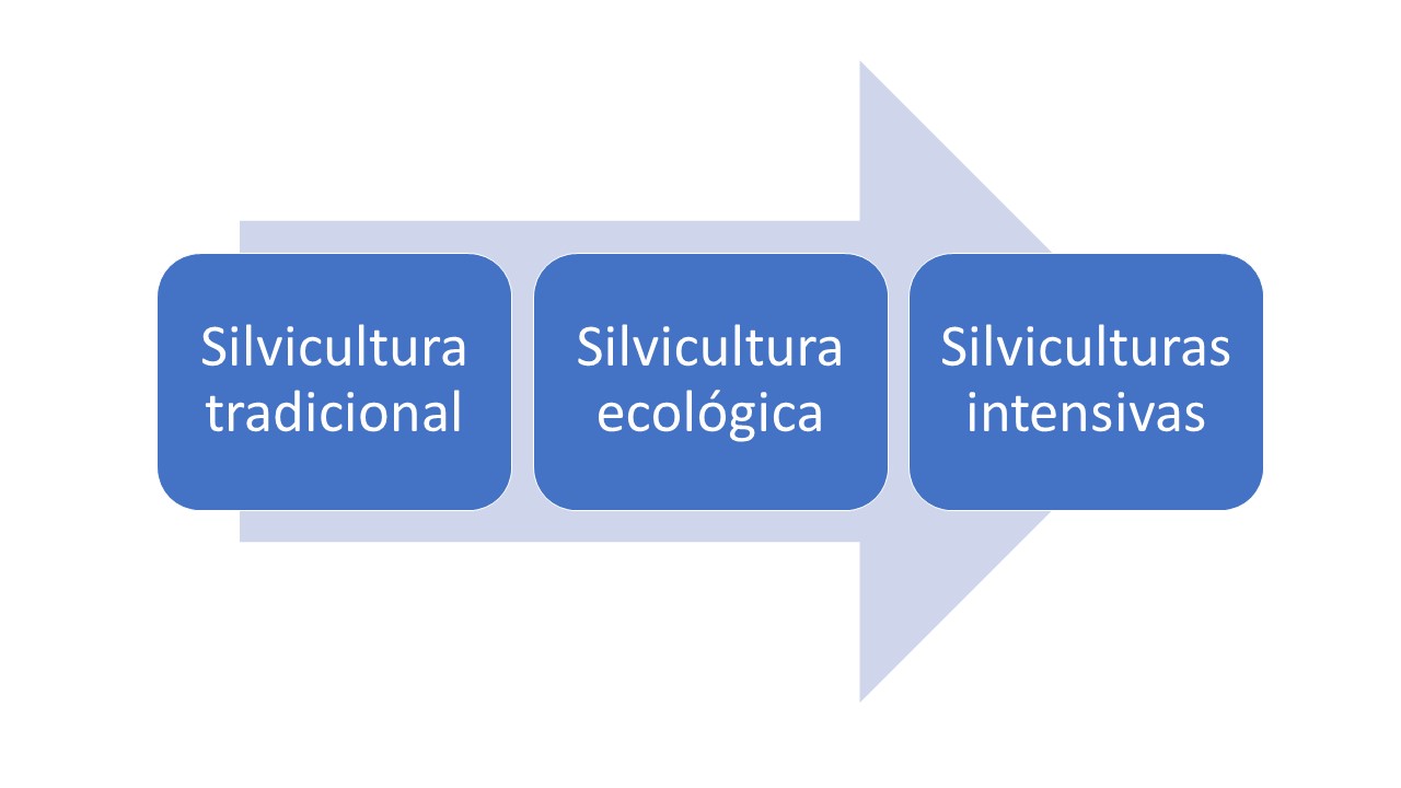 Trayectoria de la silvicultura.