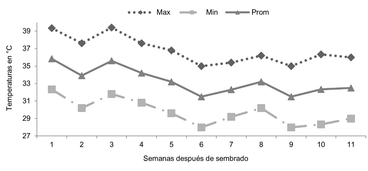 Temperaturas promedio, mínimas y máximas registradas en el invernadero del Centro Nacional de Investigación Agropecuaria del Instituto Nicaragüense de Tecnología Agropecuaria.