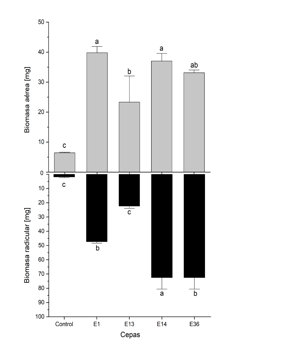 Crecimiento de N. tabacum a los 5, 10 y 15 días luego de la inoculación con las diferentes cepas de los HE: Phialocephala fortinii (E-1), Penicillium melinii (E-13), Umbelopsis dimorpha (E-14) y Preussia cymatomera (E-36).