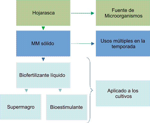Esquema de elaboración artesanal de los biopreparados intraprediales utilizados en este estudio