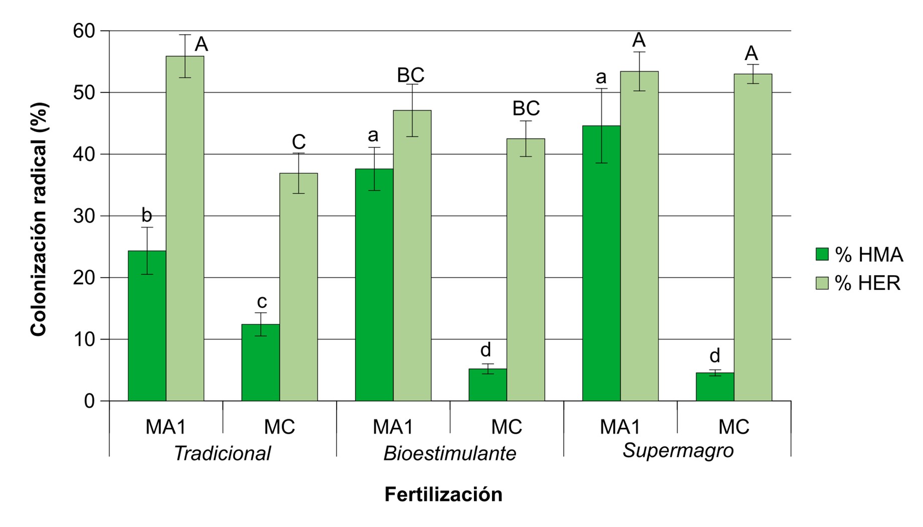 Colonización por hongos formadores de micorrizas arbusculares %HMA y hongos endófitos radicales %HER en las raíces de lechuga según la fertilización utilizada regularmente en cada chacra tradicional o la aplicación de bioestimulante y supermagro en dos establecimientos productivos MA1 y MC Las barras indican porcentajes promedio de colonización por HMA y HER por tratamiento n  5 y las barras de error corresponden al error estándar